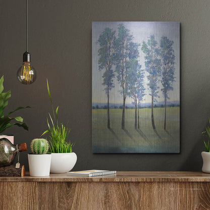 Luxe Metal Art 'Acreage II' by Tim O'Toole, Metal Wall Art,12x16