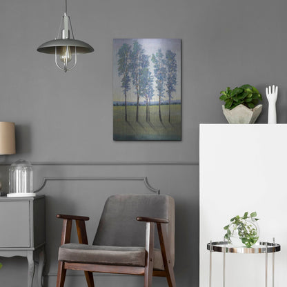 Luxe Metal Art 'Acreage II' by Tim O'Toole, Metal Wall Art,16x24