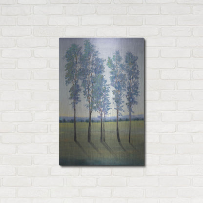 Luxe Metal Art 'Acreage II' by Tim O'Toole, Metal Wall Art,24x36