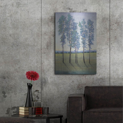 Luxe Metal Art 'Acreage II' by Tim O'Toole, Metal Wall Art,24x36