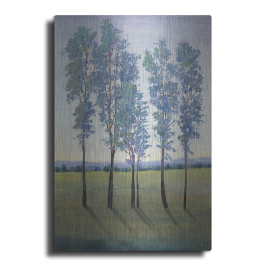 Luxe Metal Art 'Acreage II' by Tim O'Toole, Metal Wall Art