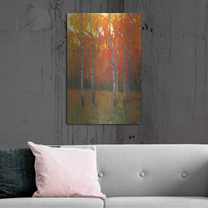 Luxe Metal Art 'Changing Colors I' by Tim O'Toole, Metal Wall Art,24x36