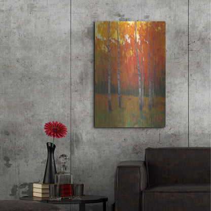 Luxe Metal Art 'Changing Colors I' by Tim O'Toole, Metal Wall Art,24x36