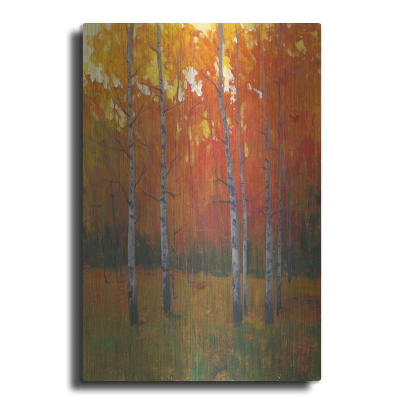 'Changing Colors I' by Tim O'Toole – Metal Wall Art