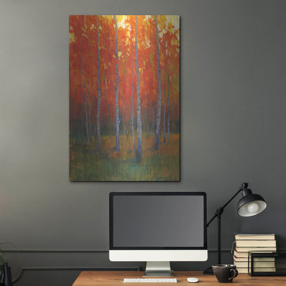 Luxe Metal Art 'Changing Colors II' by Tim O'Toole, Metal Wall Art,24x36