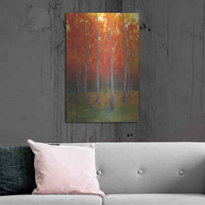 Luxe Metal Art 'Changing Colors II' by Tim O'Toole, Metal Wall Art,24x36