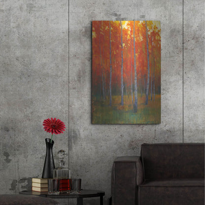 Luxe Metal Art 'Changing Colors II' by Tim O'Toole, Metal Wall Art,24x36