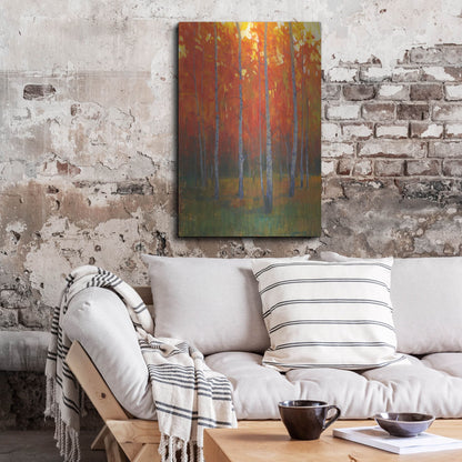 Luxe Metal Art 'Changing Colors II' by Tim O'Toole, Metal Wall Art,24x36