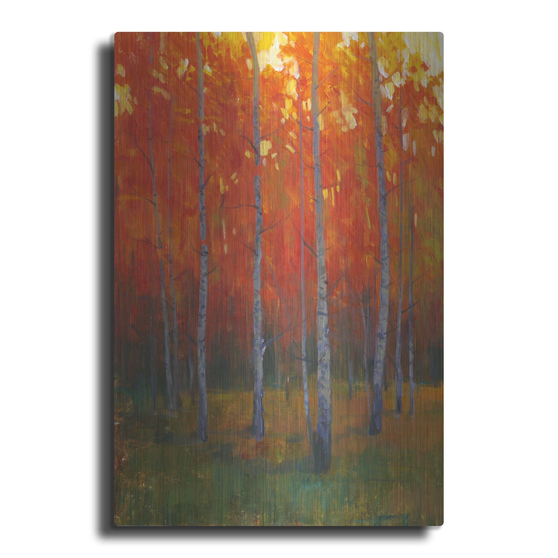 Luxe Metal Art 'Changing Colors II' by Tim O'Toole, Metal Wall Art