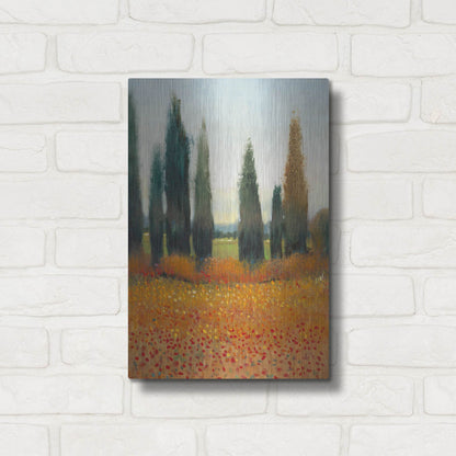 Luxe Metal Art 'Cypress Trees I' by Tim O'Toole, Metal Wall Art,12x16