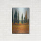 Luxe Metal Art 'Cypress Trees I' by Tim O'Toole, Metal Wall Art,24x36