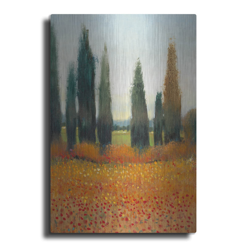 'Cypress Trees I' by Tim O'Toole – Metal Wall Art