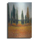 Luxe Metal Art 'Cypress Trees I' by Tim O'Toole, Metal Wall Art