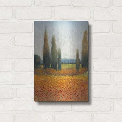 Luxe Metal Art 'Cypress Trees II' by Tim O'Toole, Metal Wall Art,12x16