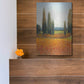 Luxe Metal Art 'Cypress Trees II' by Tim O'Toole, Metal Wall Art,12x16