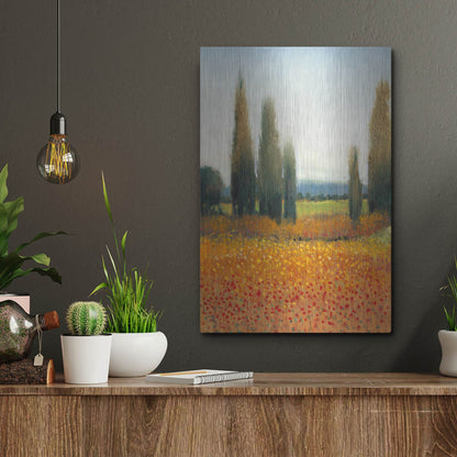 Luxe Metal Art 'Cypress Trees II' by Tim O'Toole, Metal Wall Art,12x16