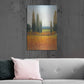 Luxe Metal Art 'Cypress Trees II' by Tim O'Toole, Metal Wall Art,24x36