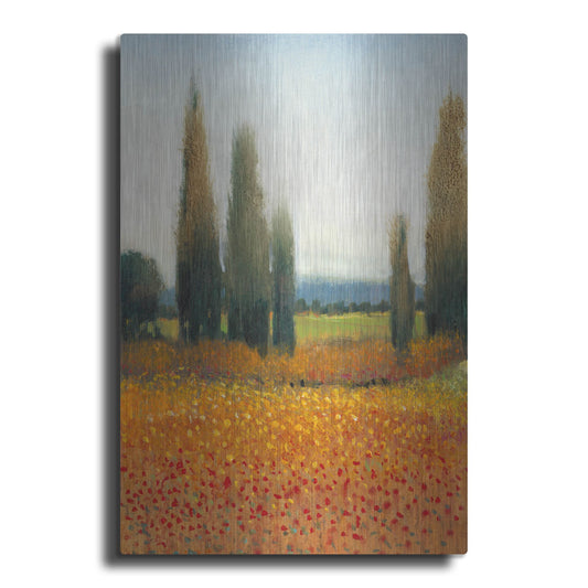Luxe Metal Art 'Cypress Trees II' by Tim O'Toole, Metal Wall Art