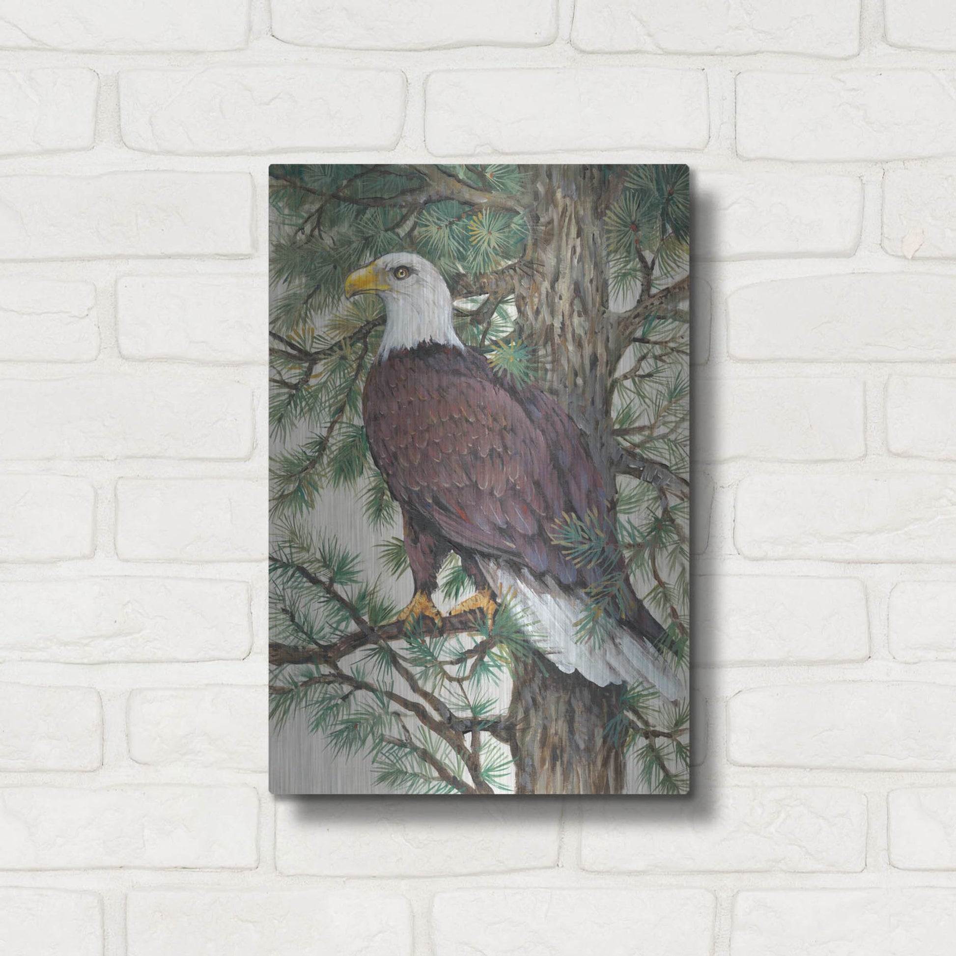 Luxe Metal Art 'Eagle in the Pine' by Tim O'Toole, Metal Wall Art,12x16