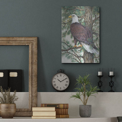Luxe Metal Art 'Eagle in the Pine' by Tim O'Toole, Metal Wall Art,12x16