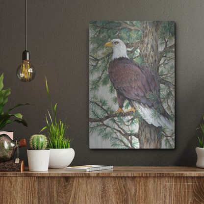 Luxe Metal Art 'Eagle in the Pine' by Tim O'Toole, Metal Wall Art,12x16