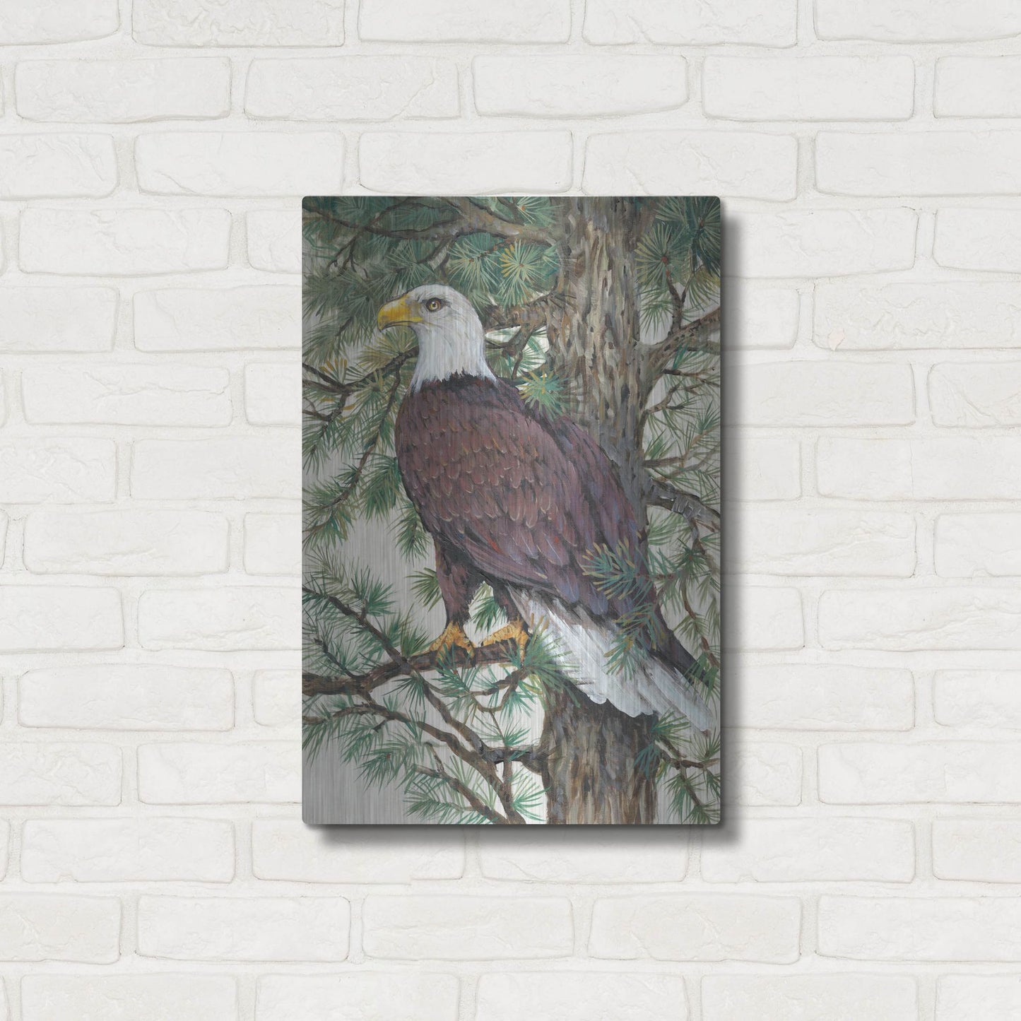 Luxe Metal Art 'Eagle in the Pine' by Tim O'Toole, Metal Wall Art,16x24