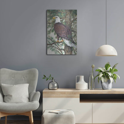 Luxe Metal Art 'Eagle in the Pine' by Tim O'Toole, Metal Wall Art,16x24
