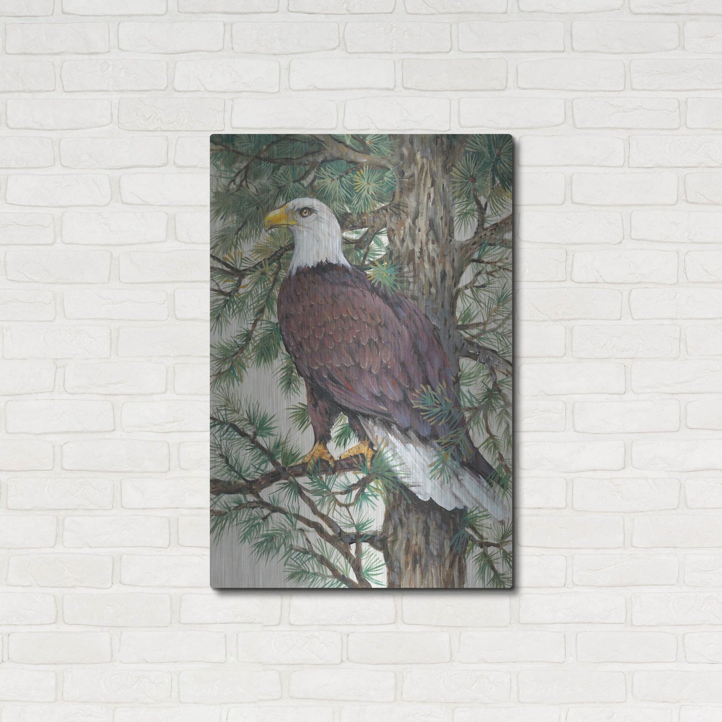 Luxe Metal Art 'Eagle in the Pine' by Tim O'Toole, Metal Wall Art,24x36