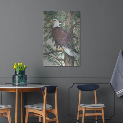Luxe Metal Art 'Eagle in the Pine' by Tim O'Toole, Metal Wall Art,24x36
