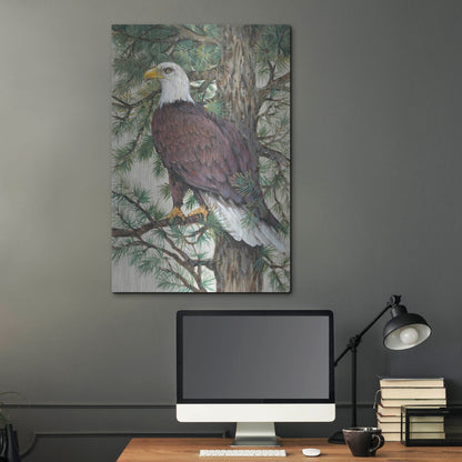 Luxe Metal Art 'Eagle in the Pine' by Tim O'Toole, Metal Wall Art,24x36