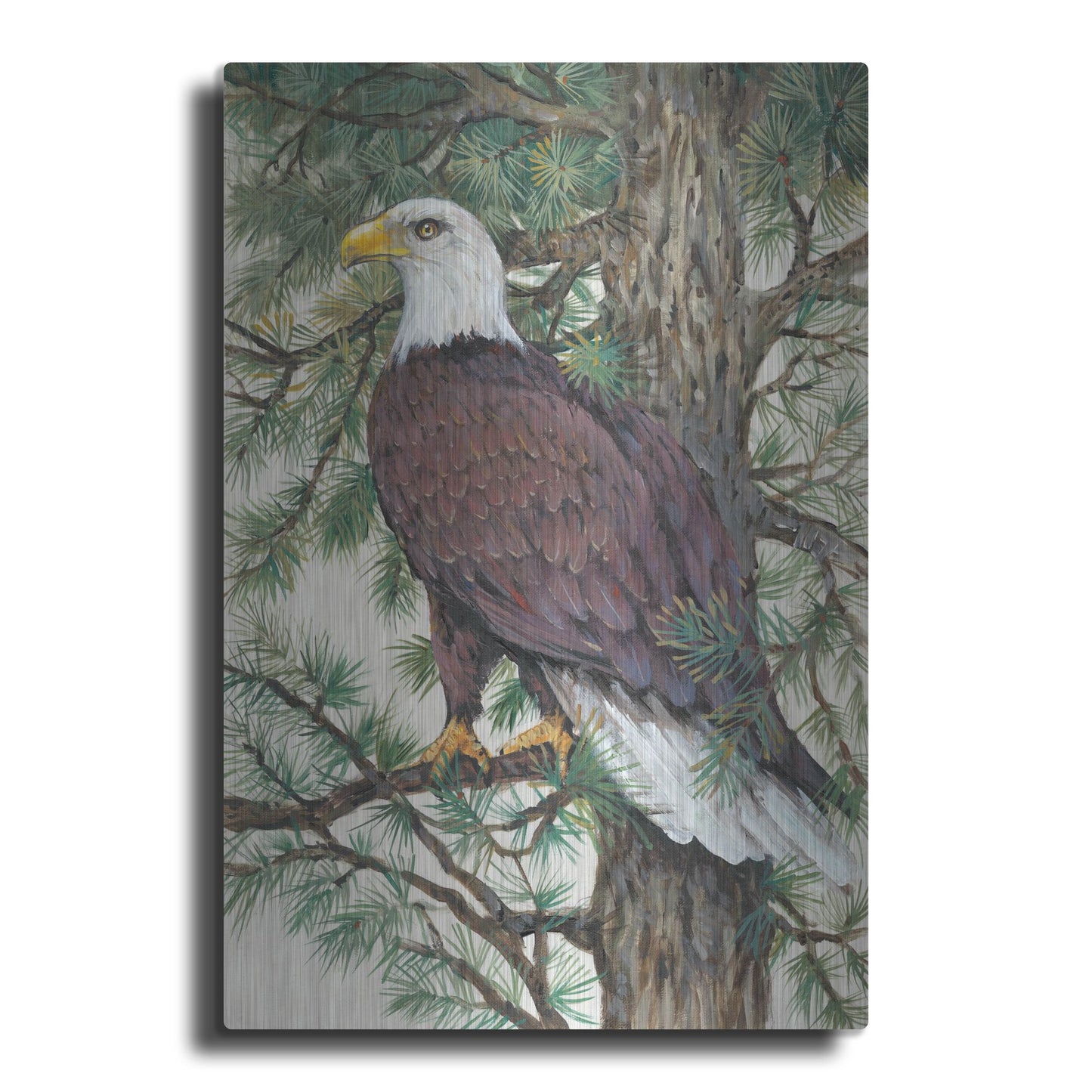 Luxe Metal Art 'Eagle in the Pine' by Tim O'Toole, Metal Wall Art