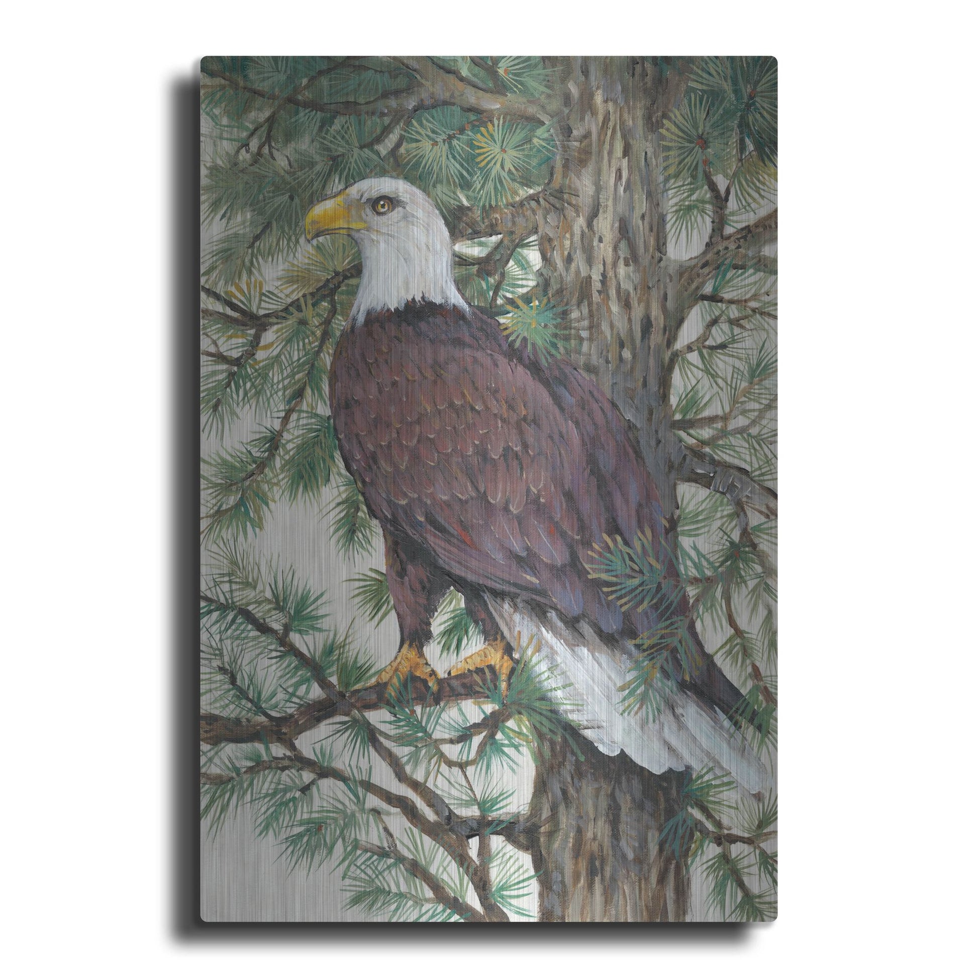 Luxe Metal Art 'Eagle in the Pine' by Tim O'Toole, Metal Wall Art
