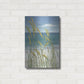 Luxe Metal Art 'Summer Breeze I' by Tim O'Toole, Metal Wall Art,16x24