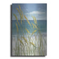 Luxe Metal Art 'Summer Breeze I' by Tim O'Toole, Metal Wall Art