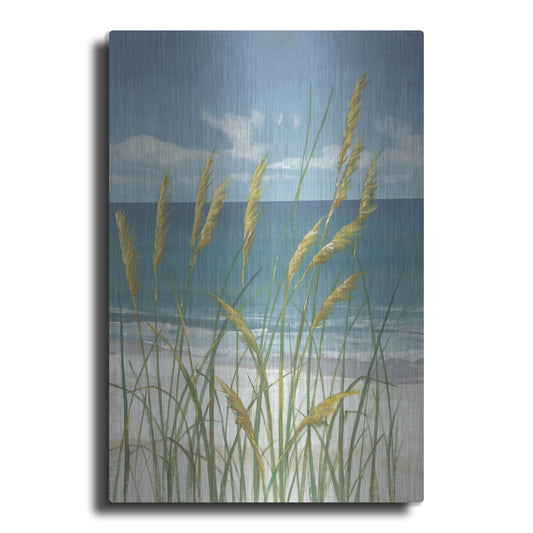 Luxe Metal Art 'Summer Breeze II' by Tim O'Toole, Metal Wall Art