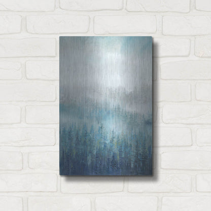 Luxe Metal Art 'Above the Mist I' by Tim O'Toole, Metal Wall Art,12x16