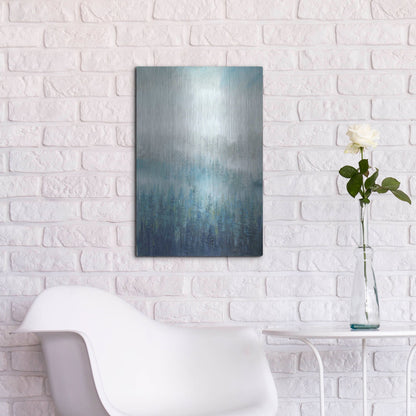 Luxe Metal Art 'Above the Mist I' by Tim O'Toole, Metal Wall Art,16x24