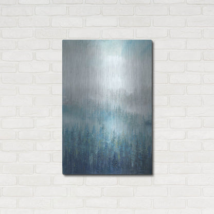 Luxe Metal Art 'Above the Mist I' by Tim O'Toole, Metal Wall Art,24x36