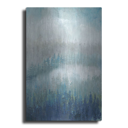 Luxe Metal Art 'Above the Mist II' by Tim O'Toole, Metal Wall Art