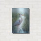 Luxe Metal Art 'Marsh Heron I' by Tim O'Toole, Metal Wall Art,16x24