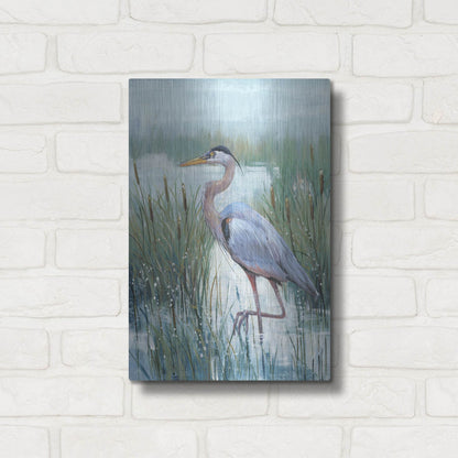 Luxe Metal Art 'Marsh Heron II' by Tim O'Toole, Metal Wall Art,12x16