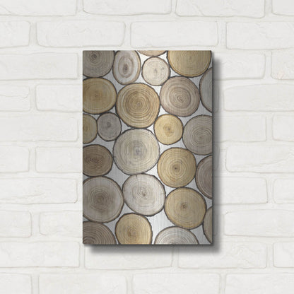 Luxe Metal Art 'Tree Ring Study I' by Tim O'Toole, Metal Wall Art,12x16