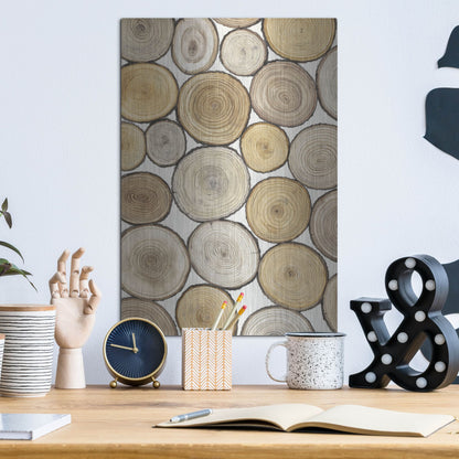 Luxe Metal Art 'Tree Ring Study I' by Tim O'Toole, Metal Wall Art,12x16