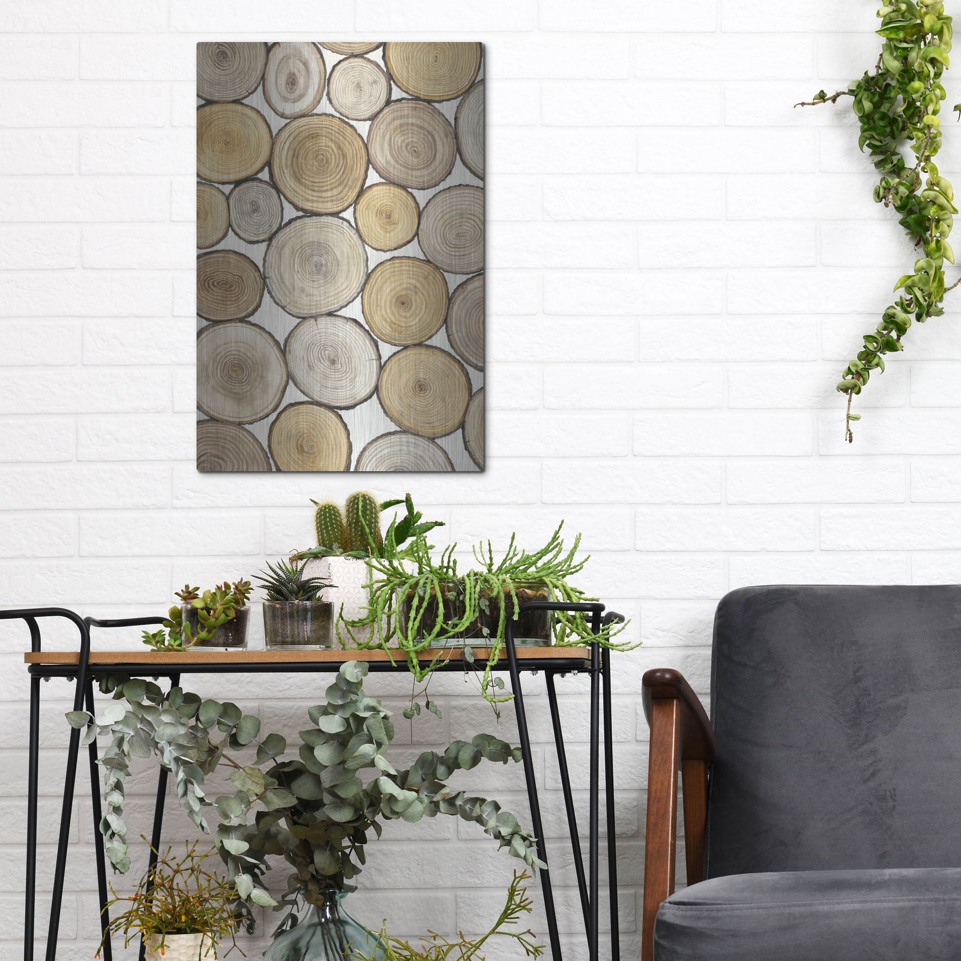 Luxe Metal Art 'Tree Ring Study I' by Tim O'Toole, Metal Wall Art,12x16