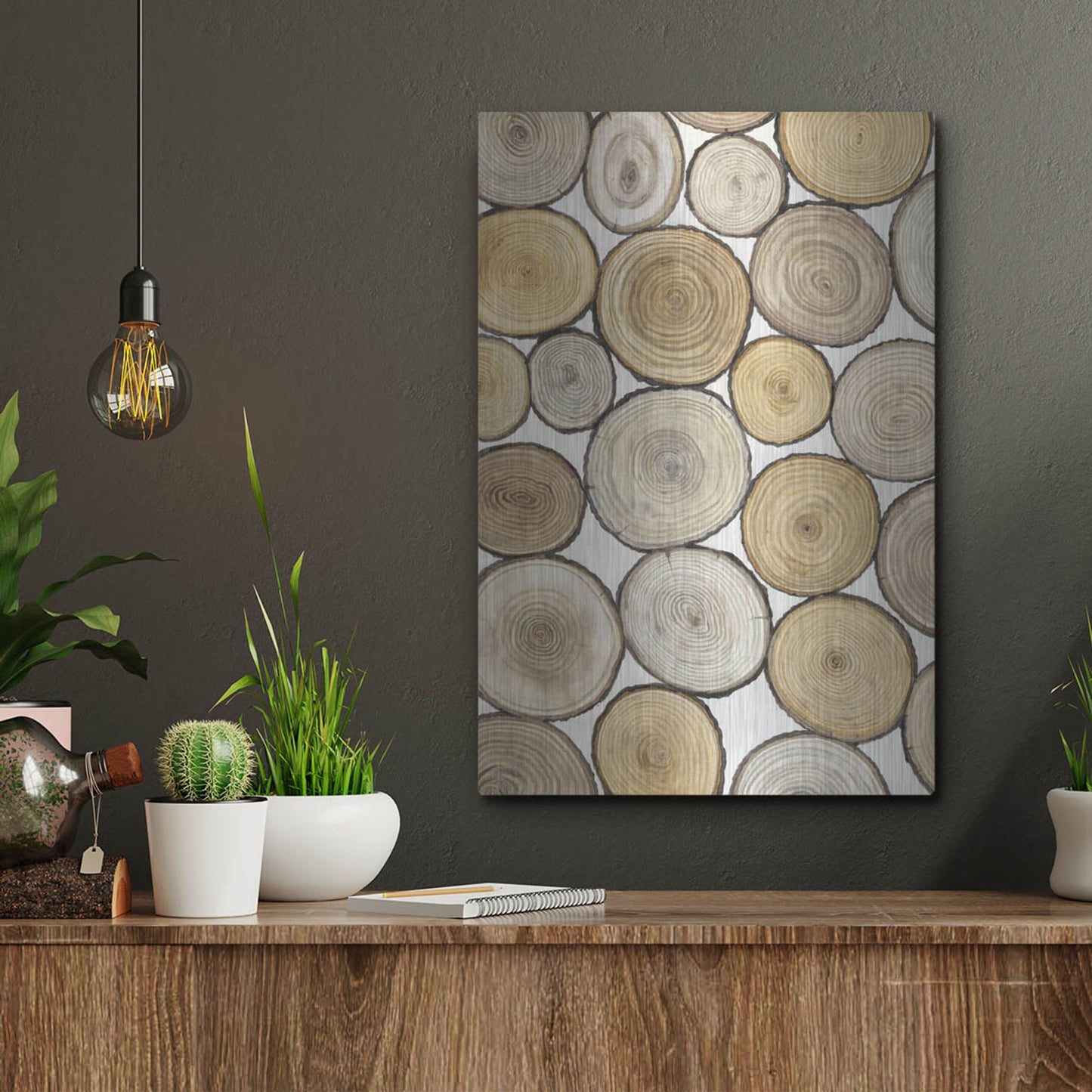 Luxe Metal Art 'Tree Ring Study I' by Tim O'Toole, Metal Wall Art,12x16