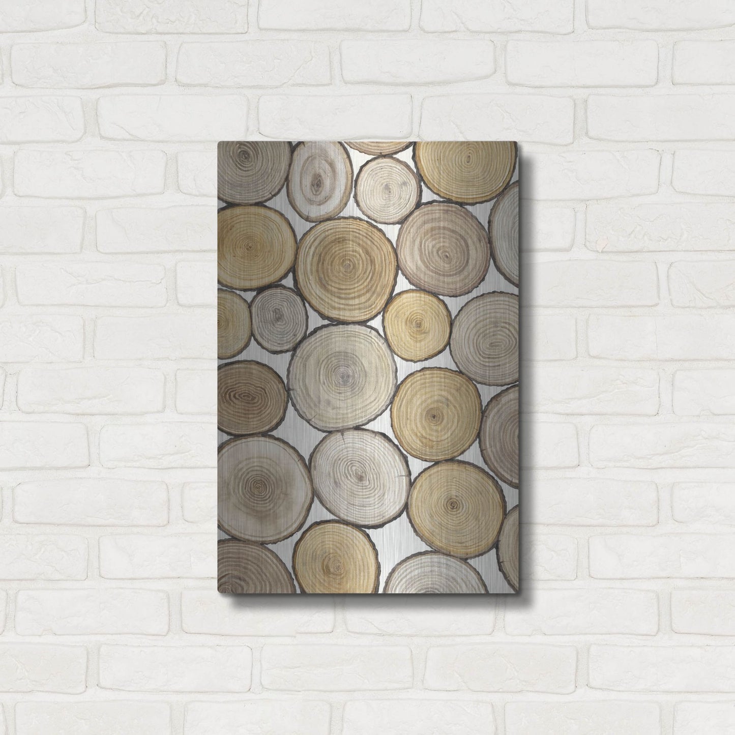 Luxe Metal Art 'Tree Ring Study I' by Tim O'Toole, Metal Wall Art,16x24