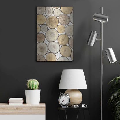 Luxe Metal Art 'Tree Ring Study I' by Tim O'Toole, Metal Wall Art,16x24