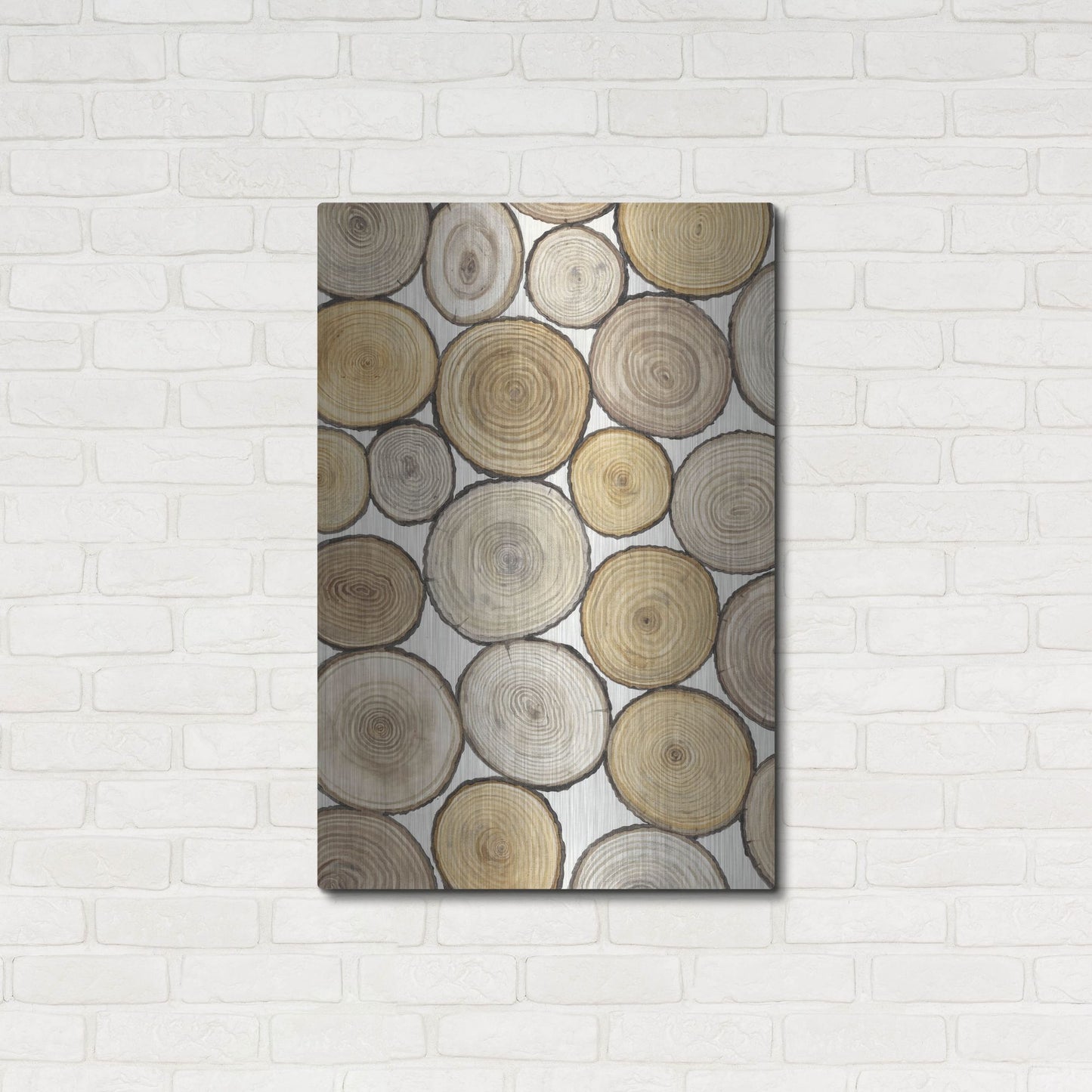 Luxe Metal Art 'Tree Ring Study I' by Tim O'Toole, Metal Wall Art,24x36