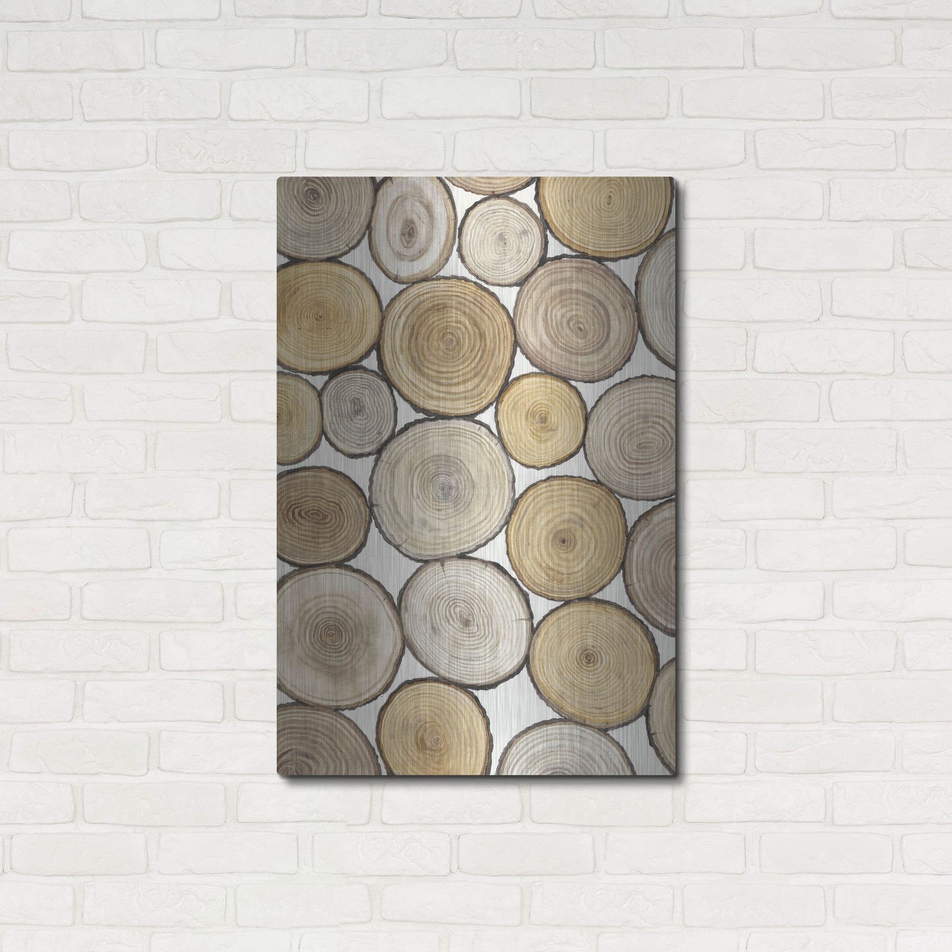 Luxe Metal Art 'Tree Ring Study I' by Tim O'Toole, Metal Wall Art,24x36