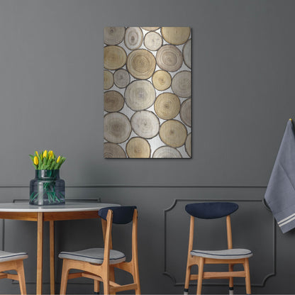 Luxe Metal Art 'Tree Ring Study I' by Tim O'Toole, Metal Wall Art,24x36